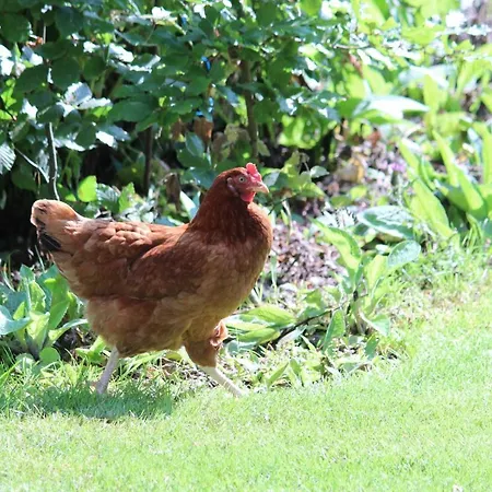 Stilbjerg Sleep&hygge Apartment