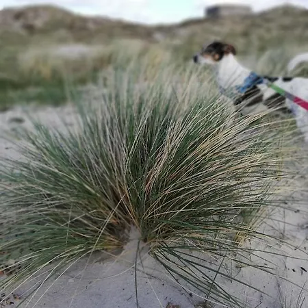 Stilbjerg Sleep&hygge Apartment *