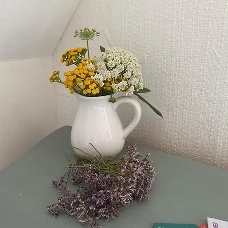 Stilbjerg Sleep&hygge Apartment