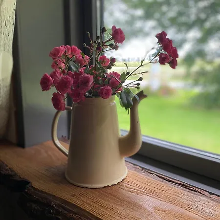Stilbjerg Sleep&hygge *