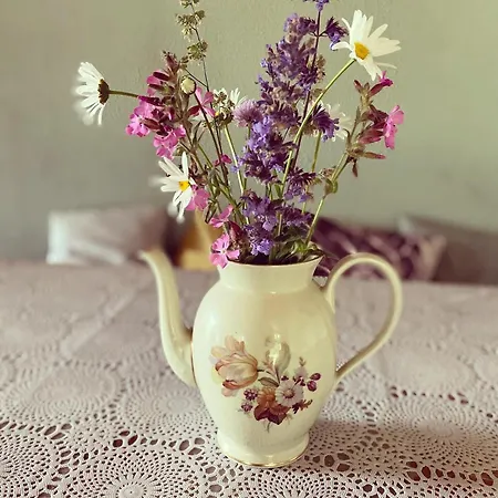 Stilbjerg Sleep&hygge *