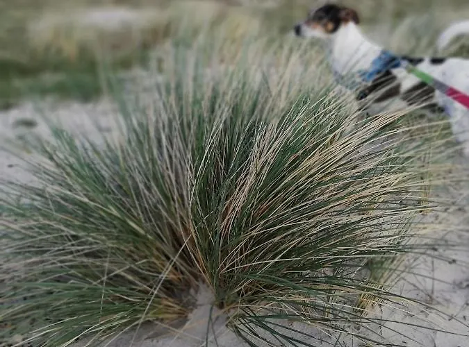 Stilbjerg Sleep&hygge Apartamento *