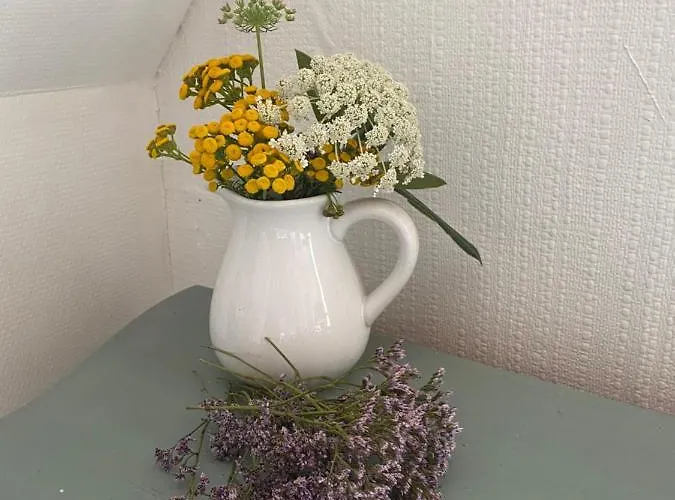 Stilbjerg Sleep&hygge Apartamento