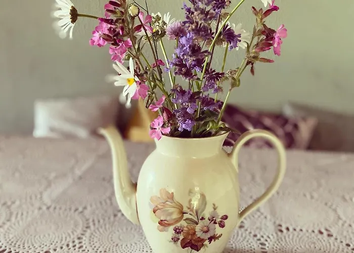 Stilbjerg Sleep&hygge *